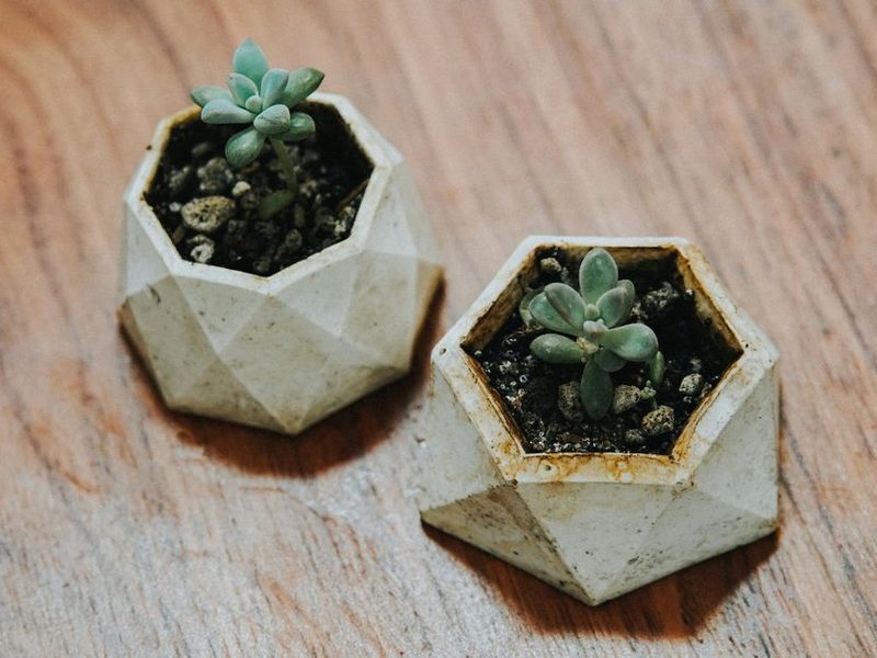 Macetas de cemento con plantas